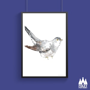 B: Cuckoo,  Birds, Bird - illustrated - ( Inspired ) - Fine - Art Print