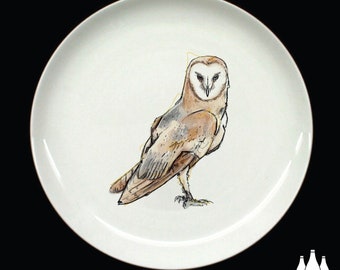 B: Barn Owl, Owl, Bird of prey, Bird, Birds, Wildlife, Nature, inspired, illustrated - Fine bone China Plate
