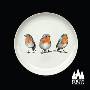 B : Rouge-gorge, Oiseaux - Oiseau britannique, Faune - Inspiré - illustré - Assiette en porcelaine fine osseuse