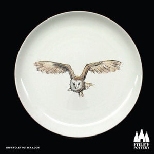 B: Barn Owl, Owl, Bird of prey, Bird, Birds, Wildlife, Nature, inspired, illustrated - Fine bone China Plate