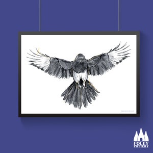 B: Magpies, Magpie, British Bird, Birds, Bird, illustrated, Inspired, Fine Art Print