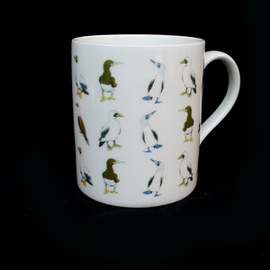 B: Boobies - Galapagos -  Sea Bird - bird - wildlife - Inspired - ( Illustrated ) - Fine Bone china Mug