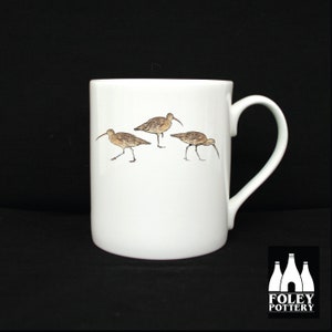 B: Curlew, Birds, bird - Inspired - ( Illustrated ) - Fine Bone china Mug