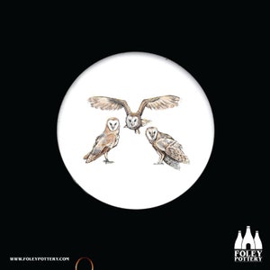 B: Barn Owl, Owl, Bird of prey, Birds, Birds, Nature, Wild life, inspired, illustrated - Fine bone China Coaster