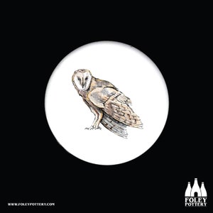 B: Barn Owl, Owl, Bird of prey, Birds, Birds, Nature, Wild life, inspired, illustrated - Fine bone China Coaster