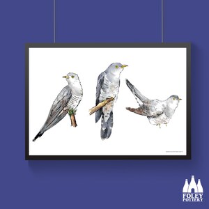 B: The Cuckoo - Illustrated - Inspired - Fine Art Print