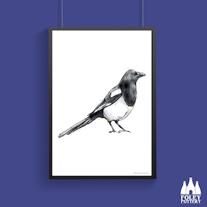 B: Magpies, Magpie, British Bird, Birds, Bird, illustrated, Inspired, Fine Art Print