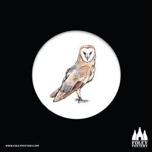 B: Barn Owl, Owl, Bird of prey, Birds, Birds, Nature, Wild life, inspired, illustrated - Fine bone China Coaster