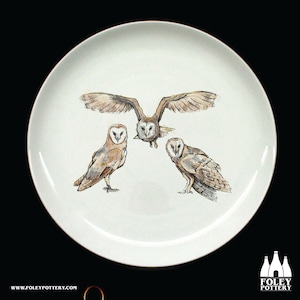 B: Barn Owl, Owl, Bird of prey, Bird, Birds, Wildlife, Nature, inspired, illustrated - Fine bone China Plate