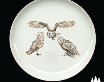 B: Barn Owl, Owl, Bird of prey, Bird, Birds, Wildlife, Nature, inspired, illustrated - Fine bone China Plate