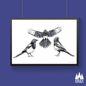 B: Magpies, Magpie, British Bird, Birds, Bird,  illustrated, Inspired, Fine Art Print