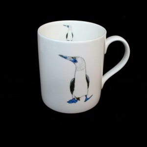 B: Blue Footed Booby - Boobies - Galapagos -  Sea Bird - bird - wildlife - Inspired - ( Illustrated ) - Fine Bone china Mug
