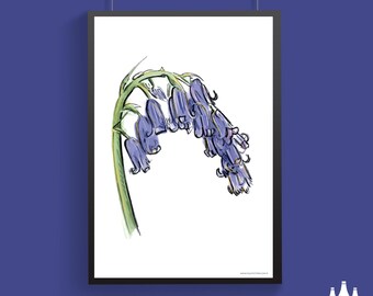 G: Bluebell, Bluebells, Wildflowers, Flowers, Gardening, Allotment, Gardener, Garden, inspired, Illustrated - Fine  Art Print