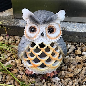 Solar owl -  France
