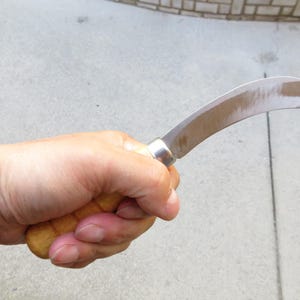 May include: A curved blade knife with a wooden handle. The blade is silver and has a curved shape. The handle is made of light brown wood. The knife is held in a hand.