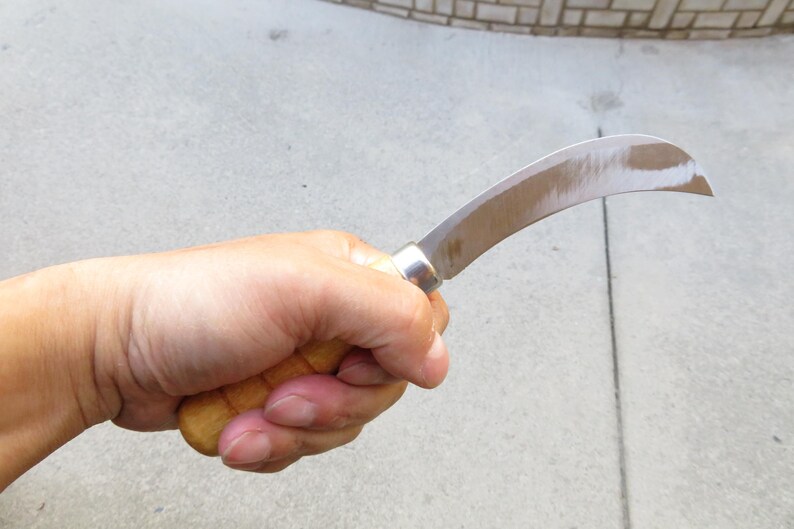 May include: A curved blade knife with a wooden handle. The blade is silver and has a curved shape. The handle is made of light brown wood. The knife is held in a hand.