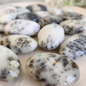 Dendritic opal palmstones dendrite crystal