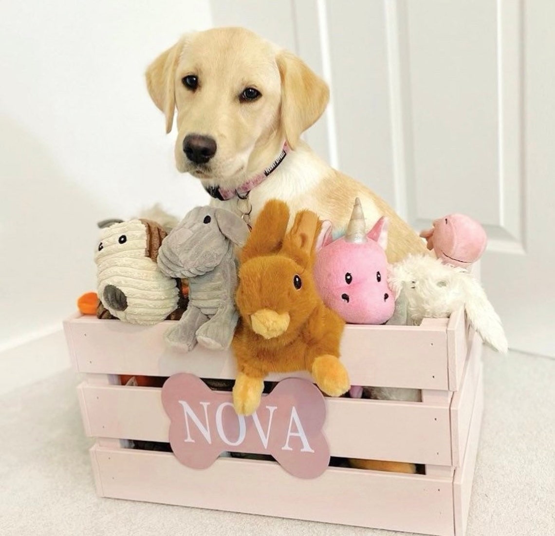 Personalised Dog Toy Box Storage Box Wooden Crate Pet Box Etsy UK