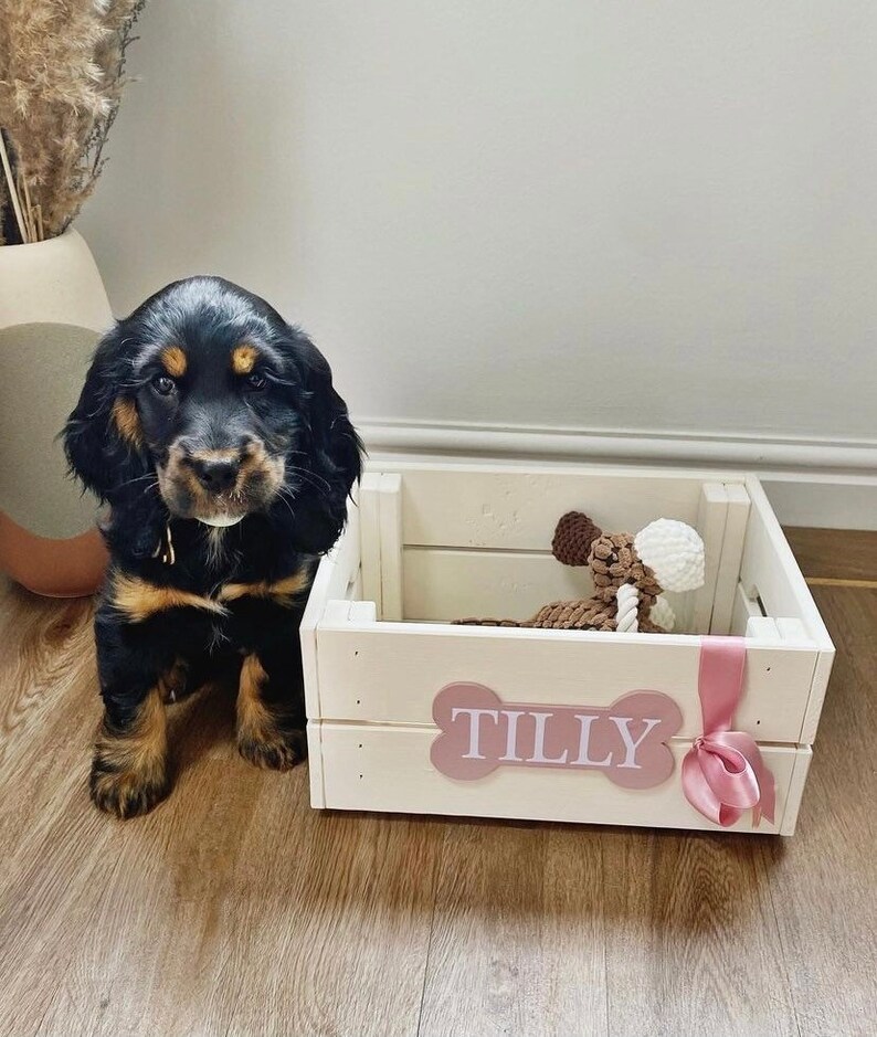 Personalised Dog Toy Box Storage Box Wooden Crate Pet Box Etsy UK