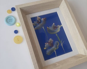 Encaustic Wax Paintings