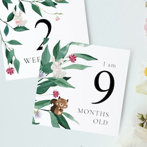 Cartes imprimables de jalons de bébé, accessoires de photo de bébé de téléchargement instantané, ensemble de jalon de bébé d'animaux et de fleurs, idées de cadeau de douche de bébé