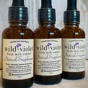 Wild Violet Fresh Herb Tincture | Violet Extract | Herbal Supplement