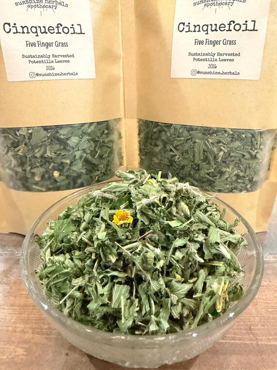 Organic Cinquefoil Five Finger Grass Dried Herb | Roots and Leaves