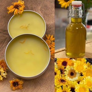 All Purpose Herbal Skin Salve | Organic | Calendula | Yarrow | Self Heal | Plantain | Essential Oil Free | Quality| Non GMO