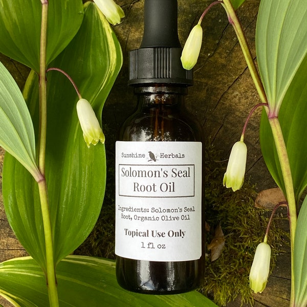 Organic Solomon Seal Root Oil | All Natural Herbal Extract | Herbal Oil