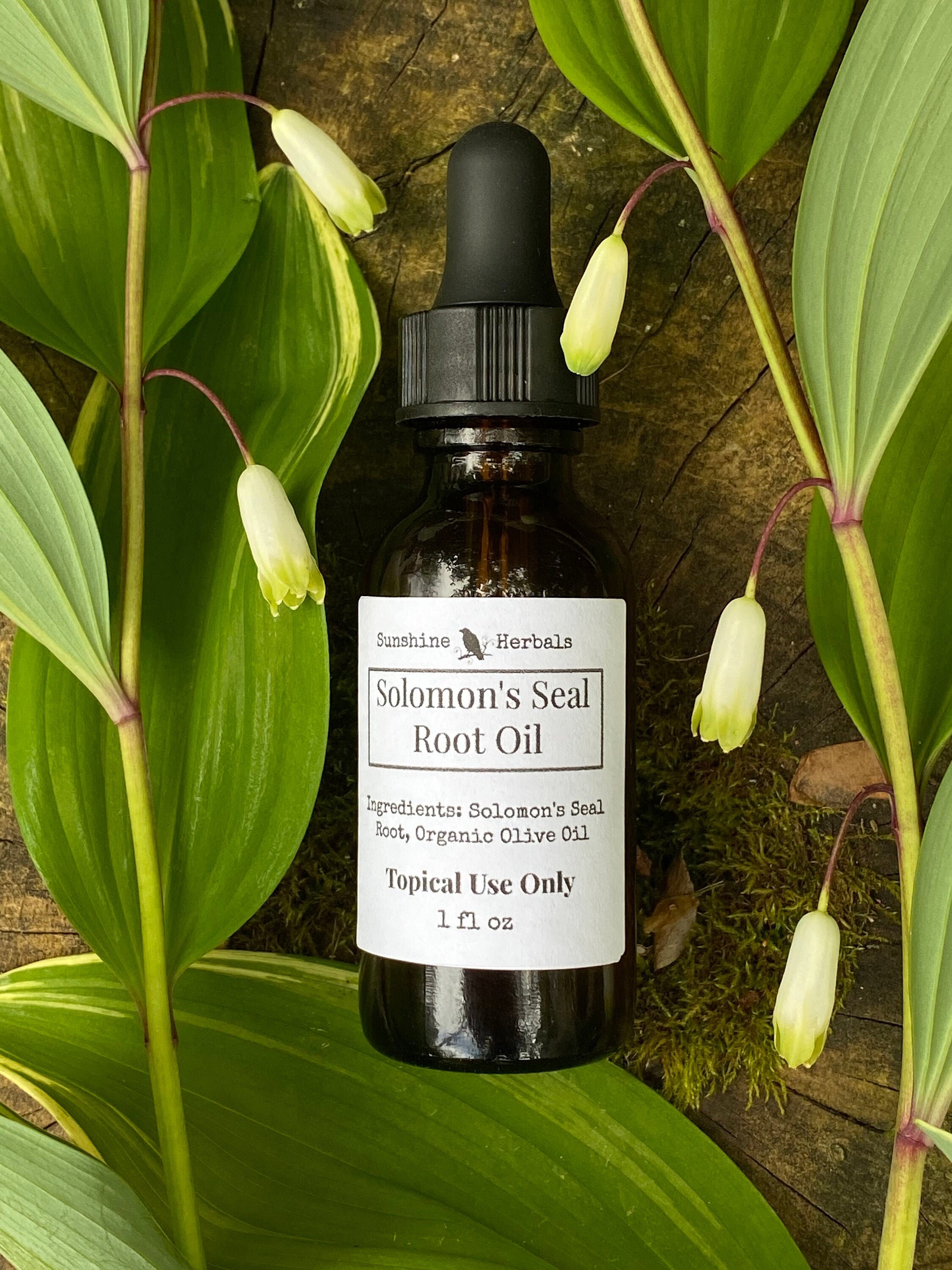 Solomon's Seal Root Oil Arthritis Back Nerve Pain Etsy