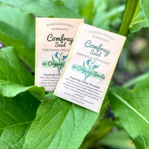 Organic True Comfrey Seeds | medicinal |Non GMO | Symphytum Officinale