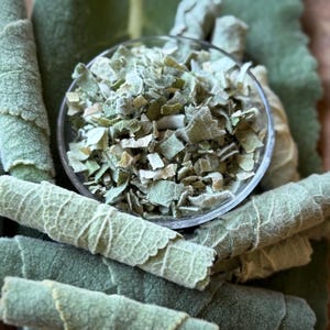 May include: Close-up of dried sage leaves and rolled sage bundles. A small glass bowl is filled with chopped sage, surrounded by rolled sage leaves. The sage is a muted green color, with a textured appearance. The image is well-lit, highlighting the details of the herbs.