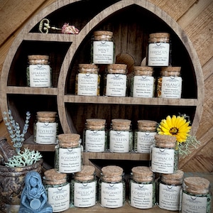 May include: A wooden shelf displays glass jars with cork lids, each labeled with herb names like Spearmint, Mint, and Calendula. A small statue and a mortar and pestle are on the shelf. The text "sunshine herbals" is at the bottom.