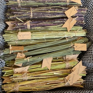Herbal Stalks | Plant Spirit | Offering | Altar | Divination | Offering |