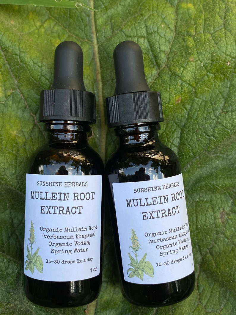Mullein Root Extract Tincture Organic Etsy