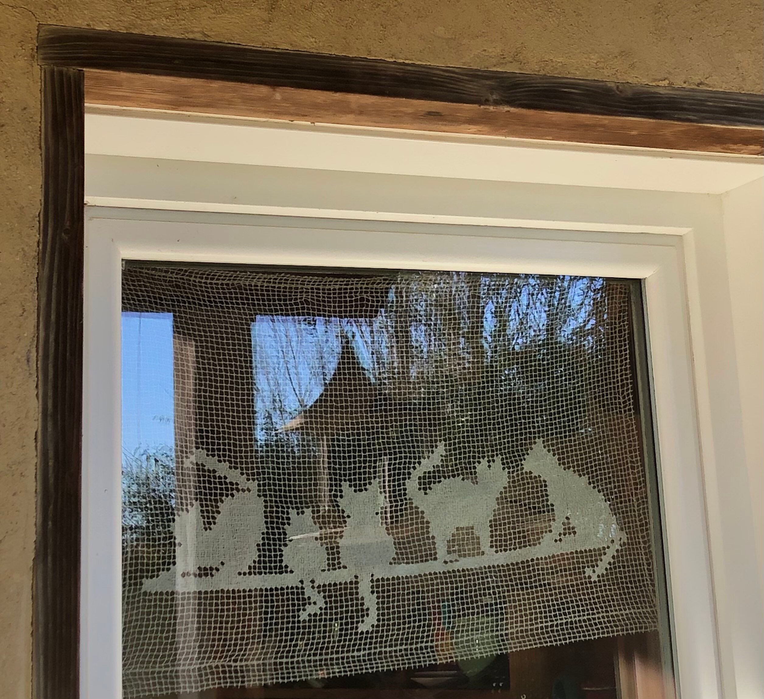 Chats à La Fenêtre