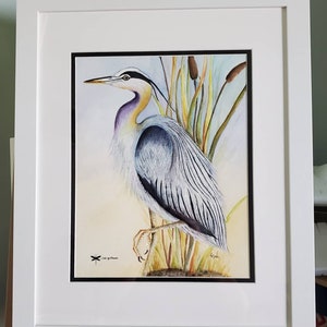 Watercolor, Great Blue Heron, Heron, Bird, watercolor blue heron, watercolor bird, tropical bird. Blue Heron print, wall hanging, wall decor