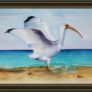 White Ibis, Ibis Bird, White Bird, Tropical Bird, Art, Wall Hanging, Wall Decor, Giclee, Print, home decor, white ibis watercolor