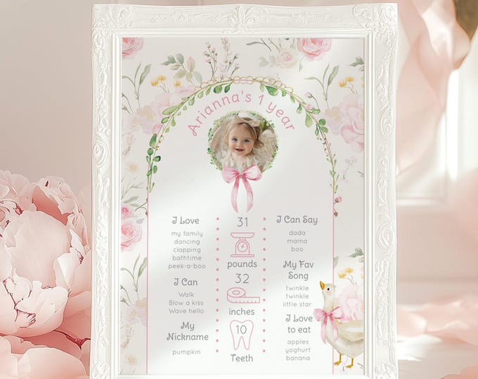 One Silly Goose Pink Bow 1st Photo Milestone, Girl 1st Birthday One Silly Goose Milestone, Goose Bow frame Birth Infographic Corjl  #sg2