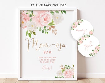 Blush Mom-osa Bar Sign, Floral Bubbly Bar Sign. Blush pink gold Baby Shower Decoration Signs, blush pink momosa bar juice tags #fl1