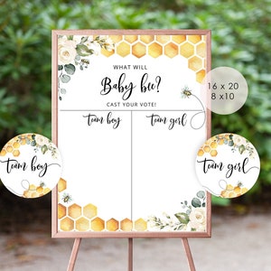 Bee Geslacht onthullen jongen of meisje grafiek. Wat zal de baby zijn Raad het geslachtsteken. Honingbij tekent hij of zij. Breng je stem uit Teken #bee
