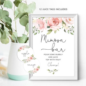 Floral Mimosa Bar Sign, Mimosa Bar Printable, Bubbly Bar Sign, watercolor boho Bridal Shower Decoration Signs, mimosa bar juice tags #br2