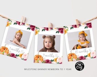 Pumpkin milestone monthly photo banner.  Little pumpkin First year photo banner. Editable fall 1st birthday monthly banner Corjl  #p2