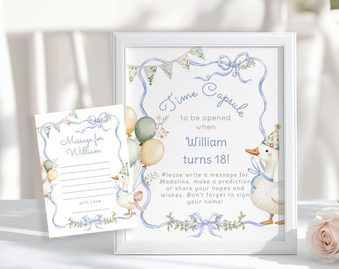 Silly Goose Boy Time Capsule Sign | Printable Birthday Time Capsule | First Birthday Decor | Goose Theme Party Sign Corjl template #sg1