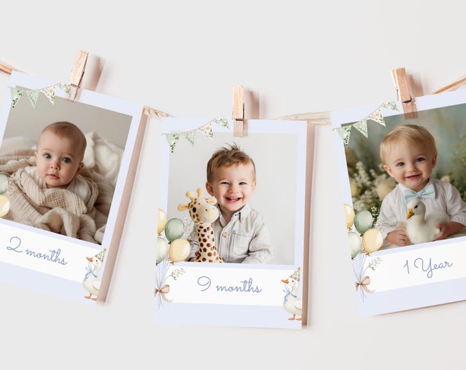 Goose 1st Birthday Photo Milestone Banner: Editable Template ( Corjl) #sg1