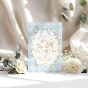 May include: A light blue and white gingham patterned invitation with a watercolor illustration of a goose and gosling. The text reads "William's One Silly Goose" with event details. A light blue bow and floral accents frame the design.
