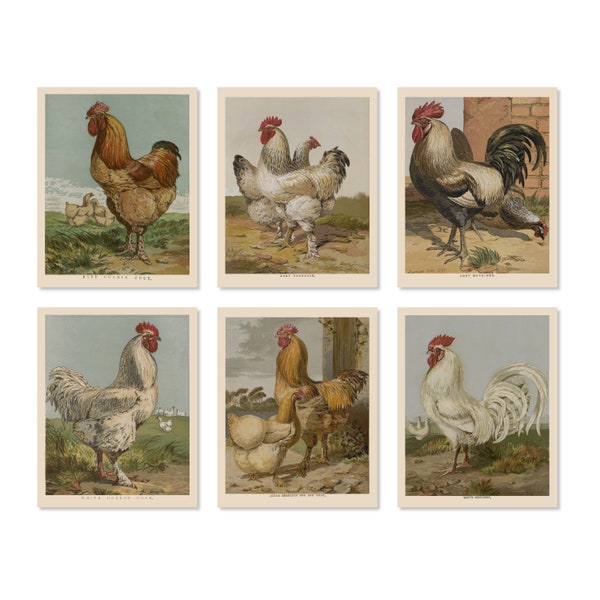 Ink Inc. Chicken Prints Wall Art - Rooster Poultry Kitchen Décor - Set of 6 8x10 Inches - Unframed