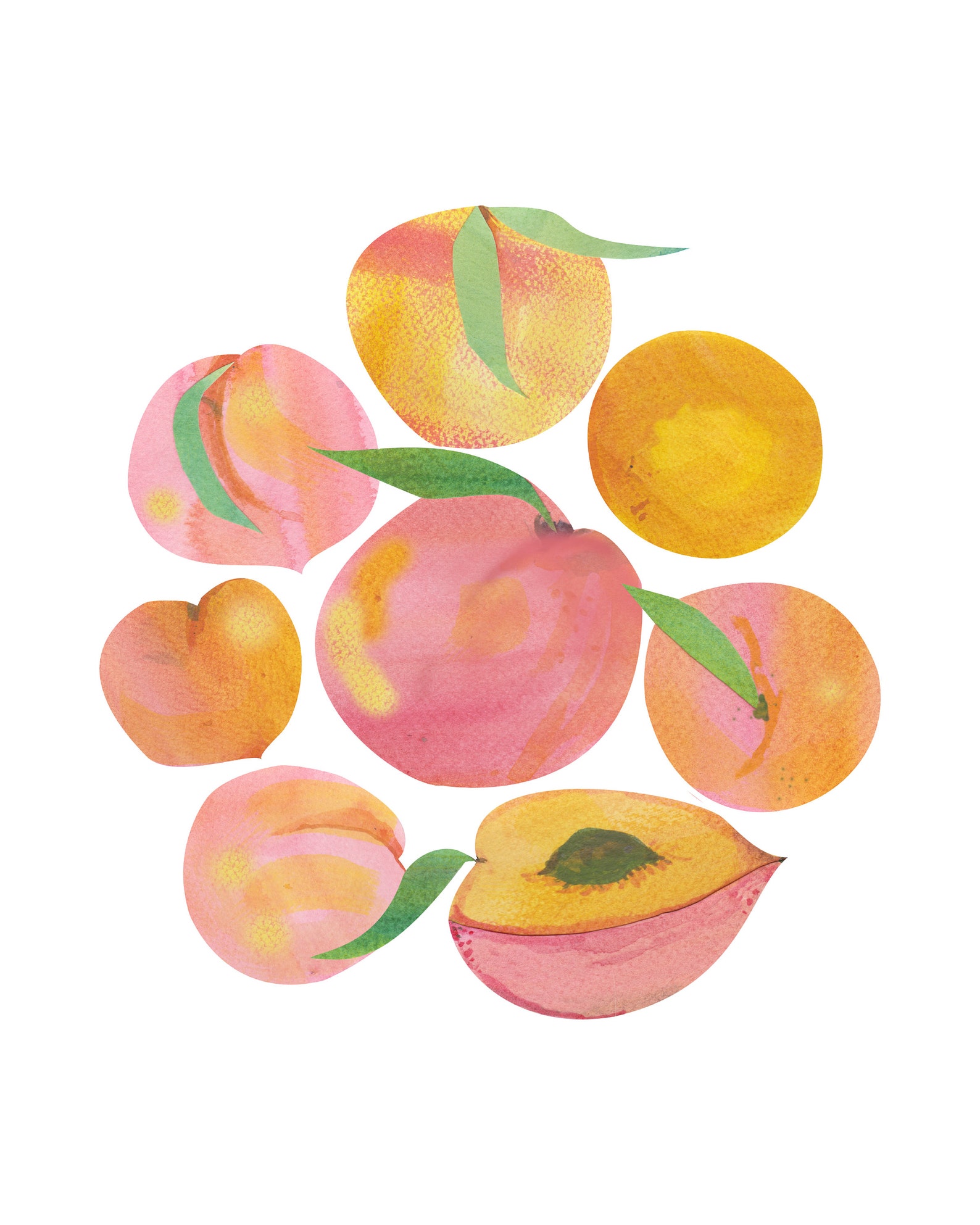 Fruit Art Prints Set of 6 8x10 Unframed Etsy UK