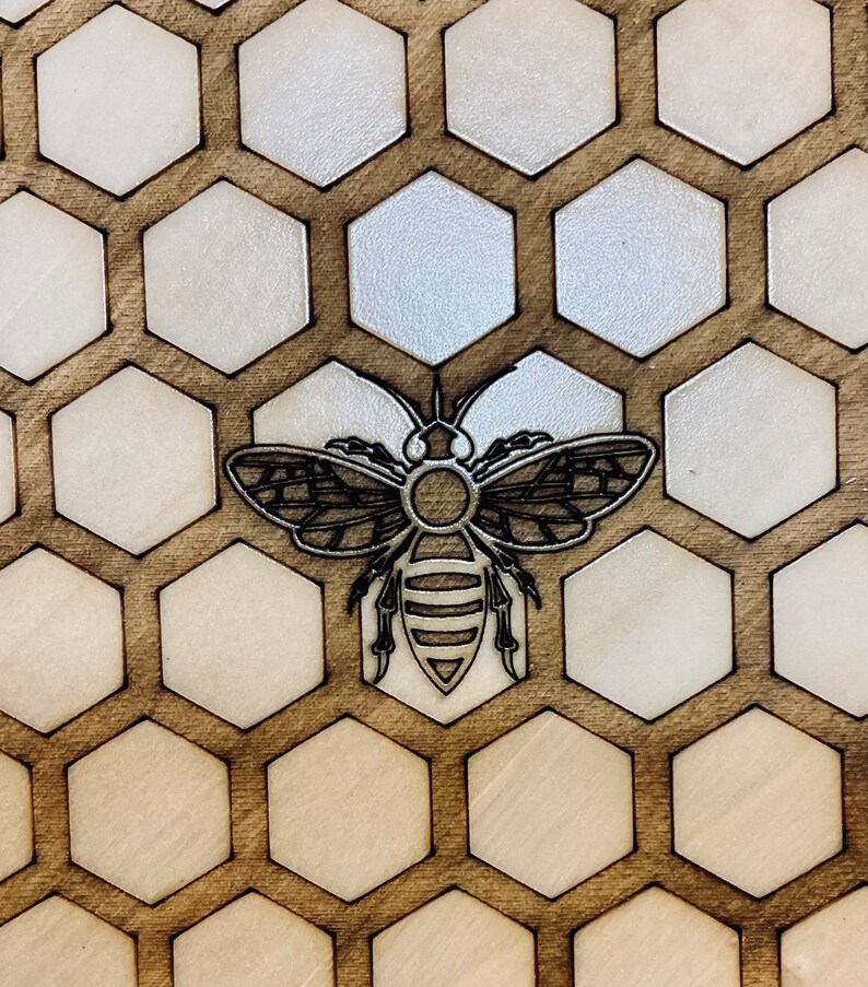 May include: Wooden decorative piece with a honeycomb pattern and a detailed bee design. The honeycomb cells are light-colored, contrasting with the darker wood frame and the metallic bee. The bee is centered, adding a focal point to the design.