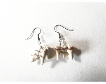 Deer Tooth Earrings